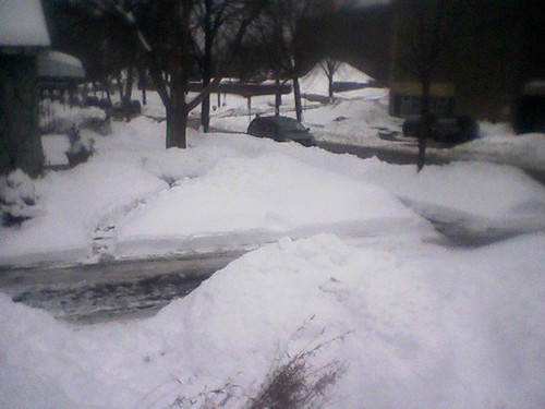 The view from our front door, 2/23/11