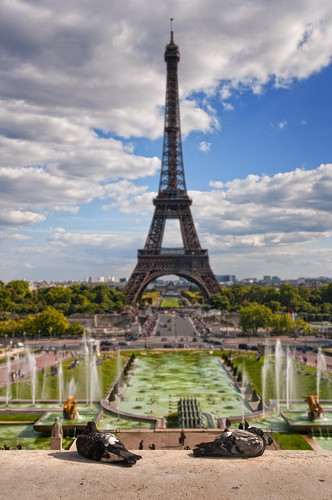 France - Paris - Birds eye view of the Eiffel Tower