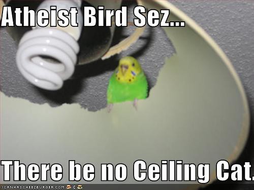 atheistbird