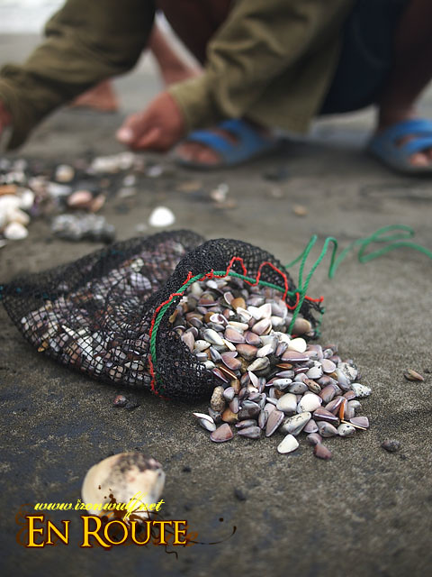 The caribaryo shells are put into this net pouch