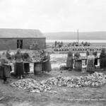 Portmagee Fish Curing, Co.Kerry
