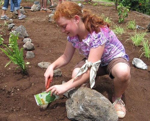 Paige McArthur of Mililani, Hawaii, plants broccoli as part of Hawaii's Sea Life Park's Rescue Program. The coastal garden they planted will grow broccoli, lettuce and native plants to supplement the diets of endangered sea turtles in the rescue program. The new garden, situated between the mountains and the sea -- or mauka to makai -- also serves as a living classroom where students see the connection between healthy forests and clean water.