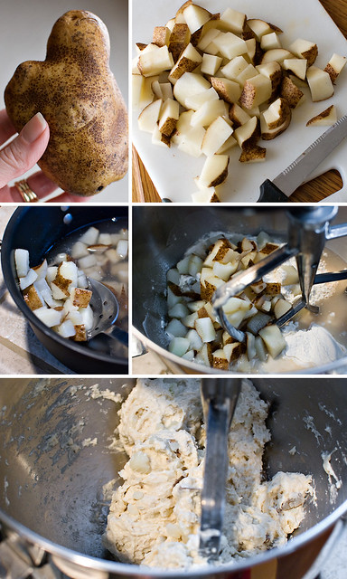 PPC-potato collage