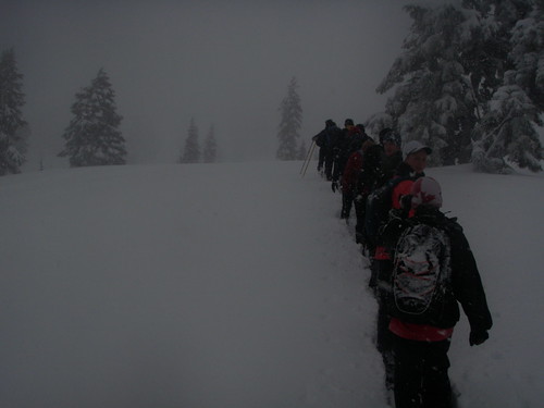 Squamish Scrambler - Participants in the Snowshoe Run and Hike Ascending to Paul Ridge