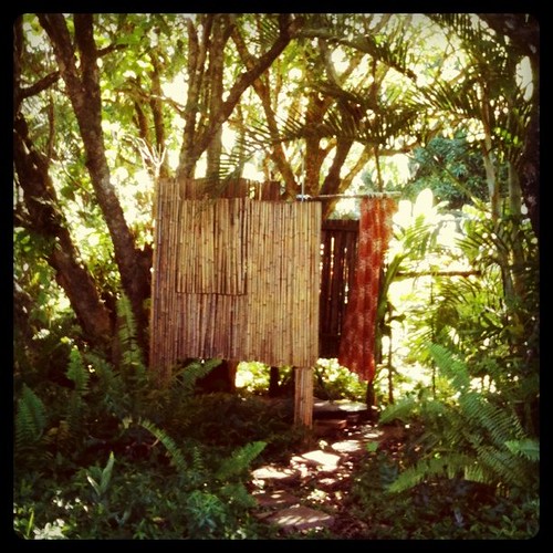 our hawaiian jungle shack has a shower