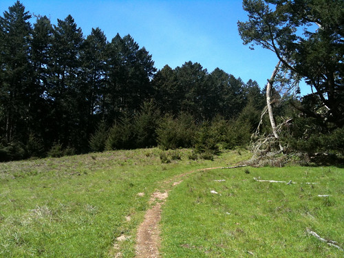 Meadow trail, Point Reyes