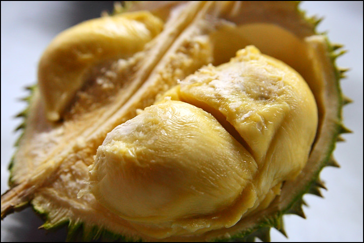 xo-durian-2
