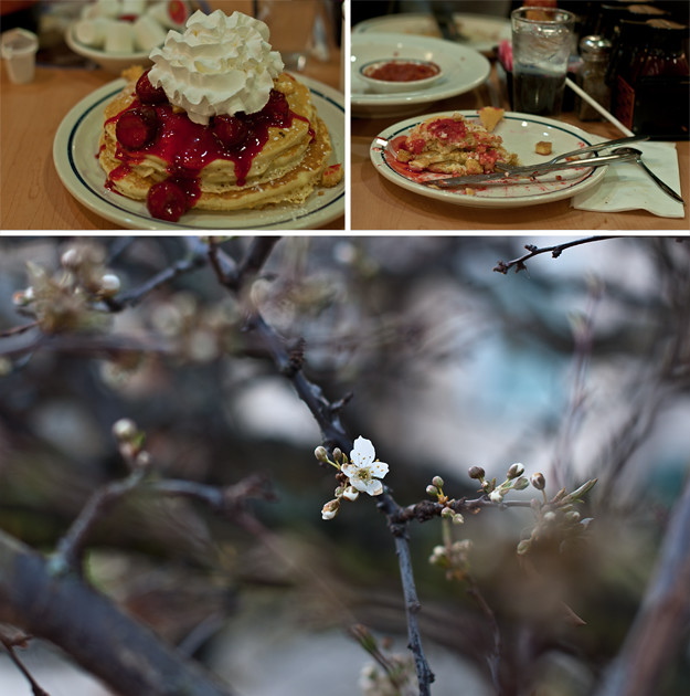 pancakes and blossoms