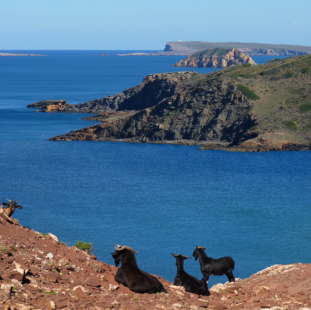 A Goat's View of rocky coastline of Menorca by B?n