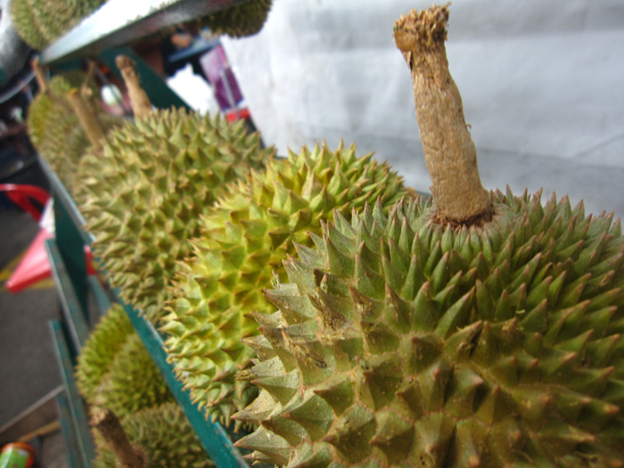 Malaysian Durian