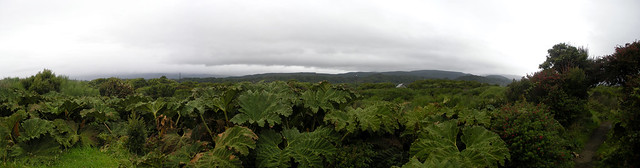 Chiloé Panorama 5