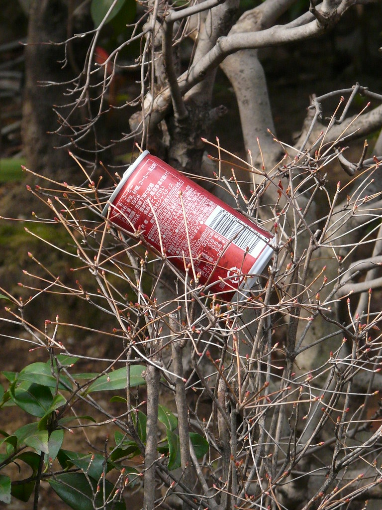 Rubbish Bin in Tree