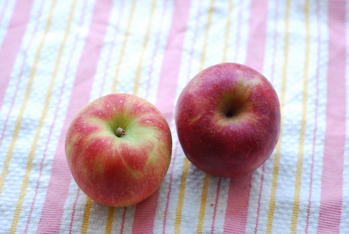 Arlet & Winesap apple