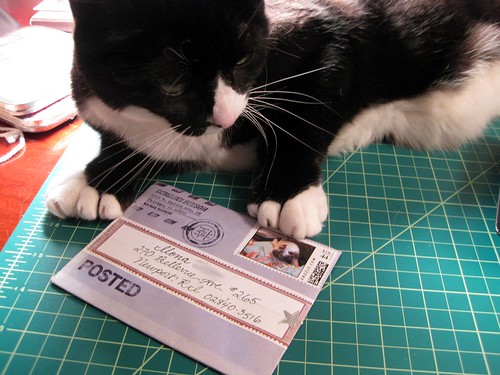 Letter cat contemplates stamp cat