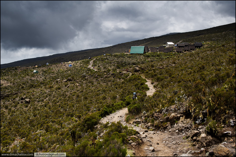 Восхождение на Килиманджаро. Часть 1.