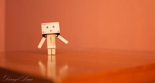 Danbo was no longer just a cardboard box robot he she or it was the model