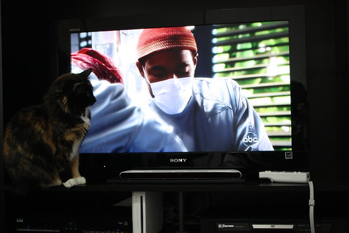 Caprica loves medical dramas