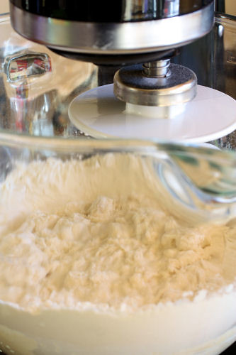 5 minute bread dough 1299 R