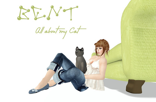 BENT! all about my cat 1