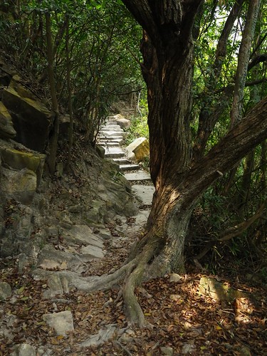 5/4/2011 Long HK Trail Trail Run