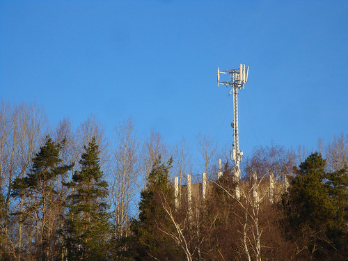 A cell phone tower in sunlight