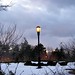 2011.2.8 Lonely street light (Queens Botanical Garden)