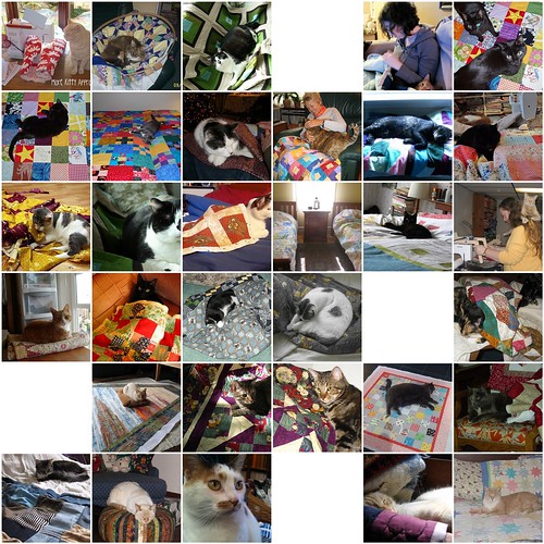CATS WHO LOVE QUILTS 1 by KoolBeenz