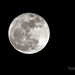 Super Moon over Texas 9755 03-19-11