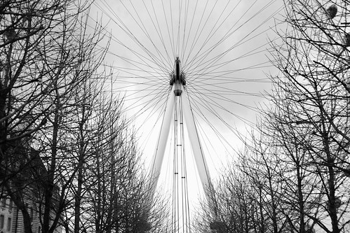 38/365 London Eye by **Pip**