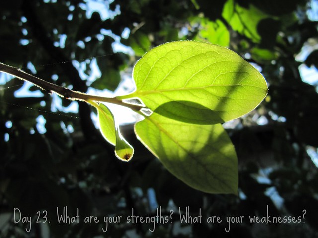 What are your strengths? What are your weaknesses?