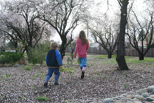 R and Asher among the Almond Trees