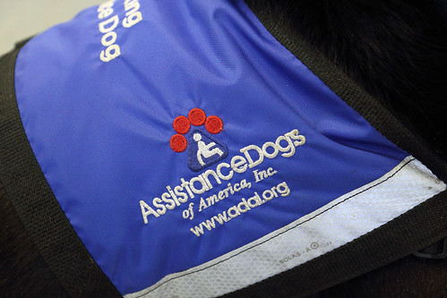  staff and volunteers of the wonderful Assistance Dogs of America, Inc.
