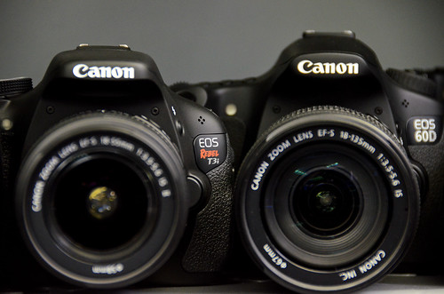 Canon Rebel T3i EOS 600D vs Canon 60D