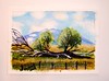 Colorado Miniature Painting