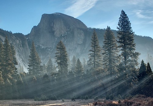 フリー写真素材|自然・風景|山|樹木|日光・太陽光線|アメリカ合衆国|カリフォルニア州|