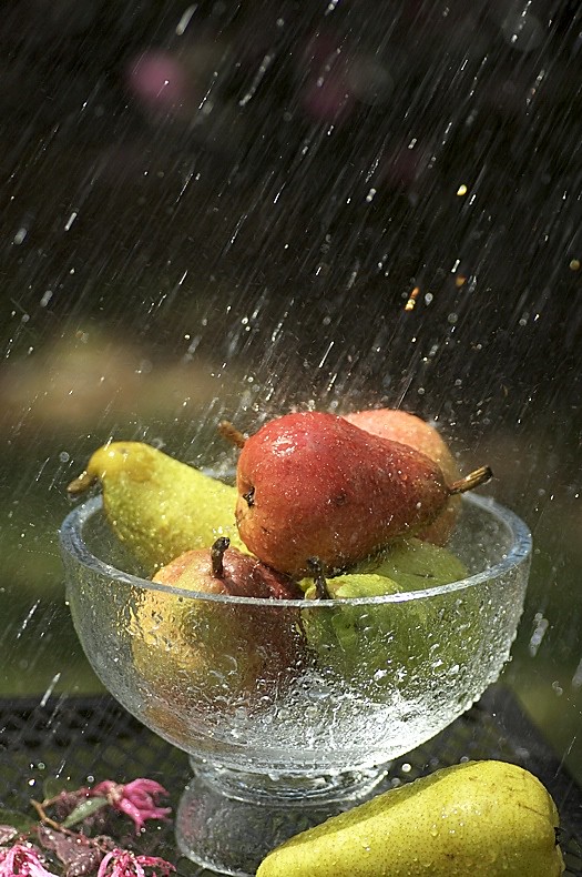 Pears under Water