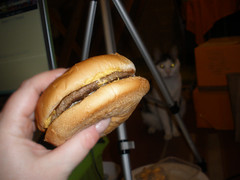 Cheezburger moment (material for a Lolcat picture)