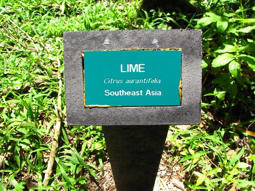 lime sign