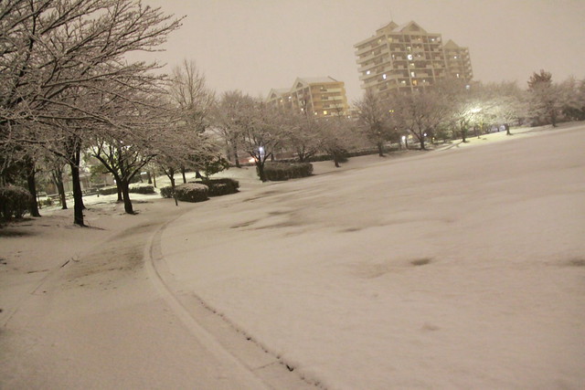 2011 Snow in Yokohama
