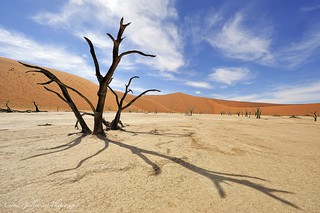 Arena of Death - Dead Vlei, Sossusvlei, Namibia