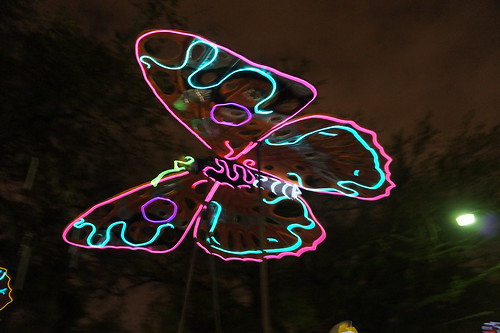 Butterfly Lights