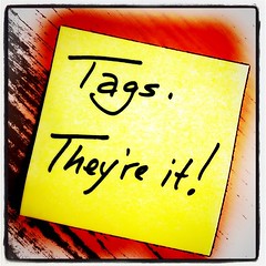 Eliminating categories in favor of tags on my blog http://nwgawriter.wordpress.com.