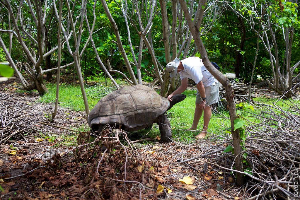 Seychelles | Part 2 IMG_6283