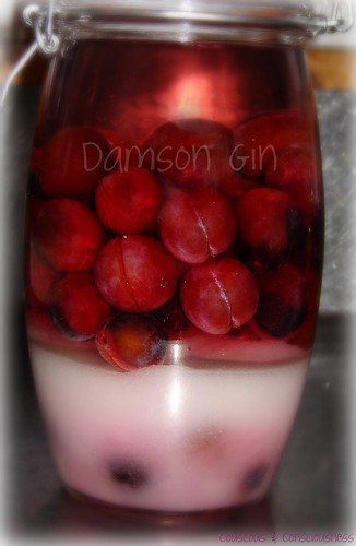 Damson Gin 1