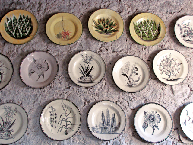 Botanical Platters