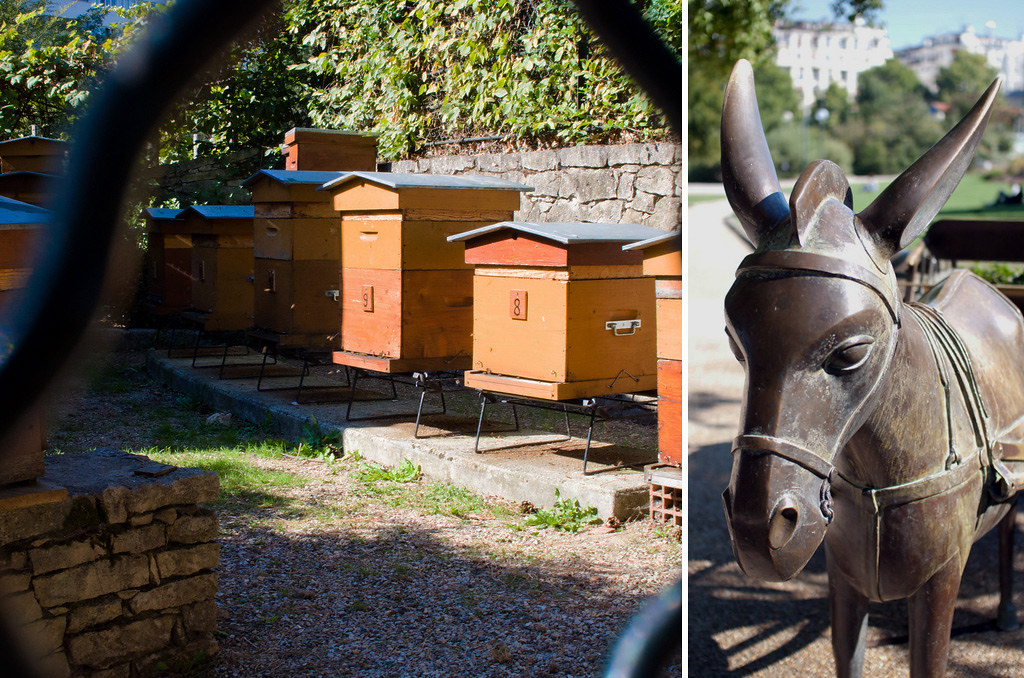 Les ruches du parc Georges Brassens