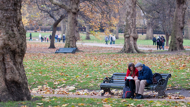 Reading, Green Park, London, 2010