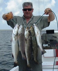 Texas Speckled Trout