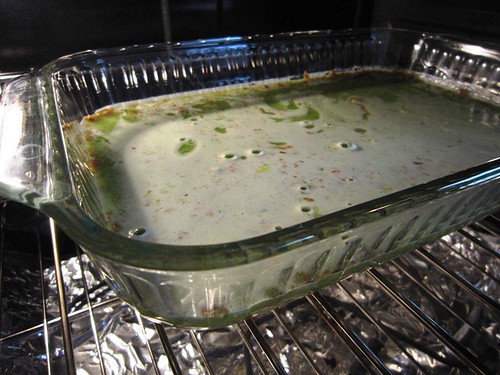 LIme Bars Start to Bubble Up in Oven