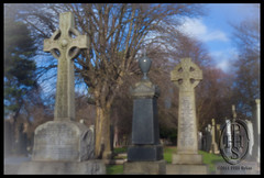 Pinhole pictures of Warriston Cemetery Edinburgh Scotland (113)